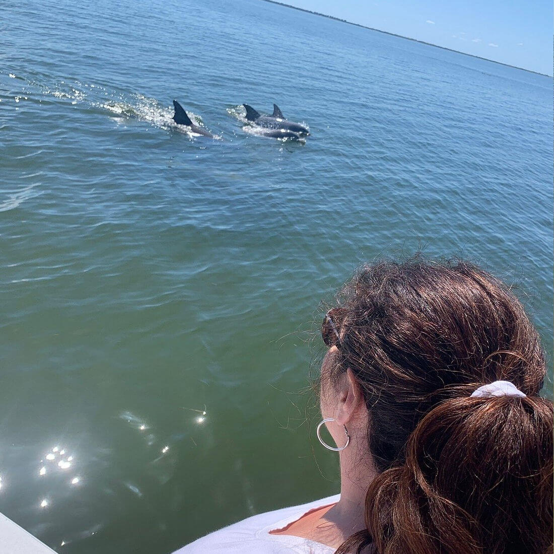 Missphitty guests got to see a few dolphins on this charter.